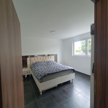 Bel Appartement Rez De Jardin Horbourg Bagian luar foto